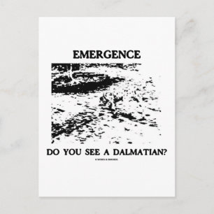 Emergence Do You See A Dalmatian? Postcard