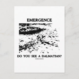 Emergence Do You See A Dalmatian? Postcard