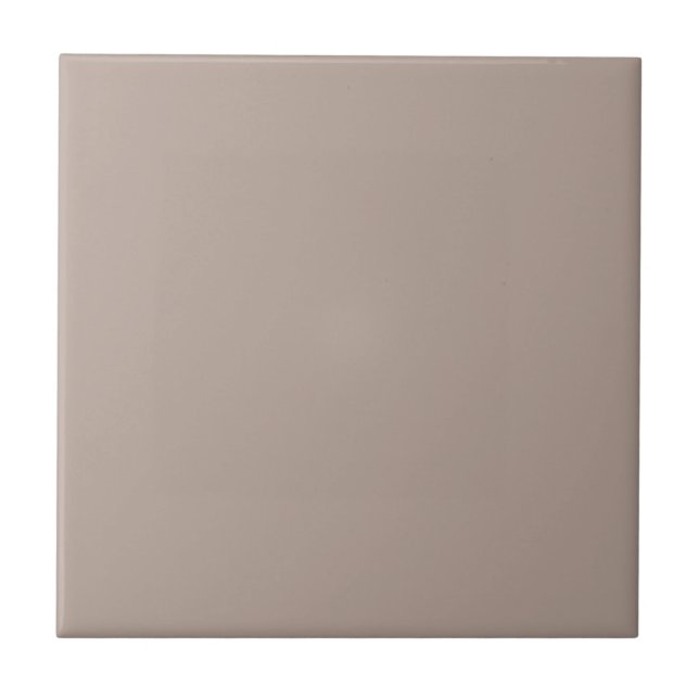 Emergence Taupe Square Kitchen and Bathroom Tile (Front)