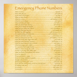 Emergency Phone Numbers Poster