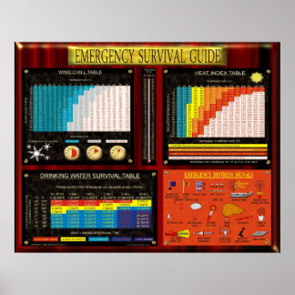 EMERGENCY SURVIVAL GUIDE POSTER