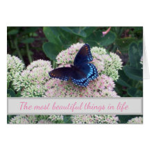 Emerging  Butterfly Challenging Places