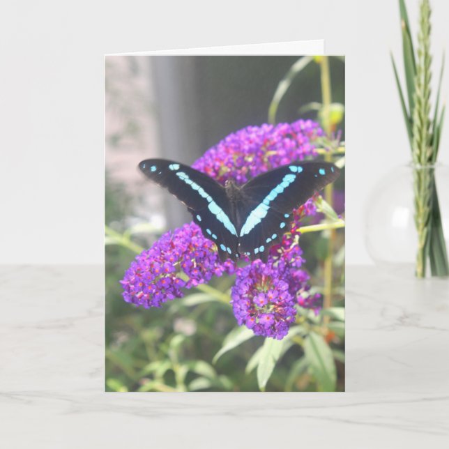 Emerging Butterfly Sister Birthday Card (Front)