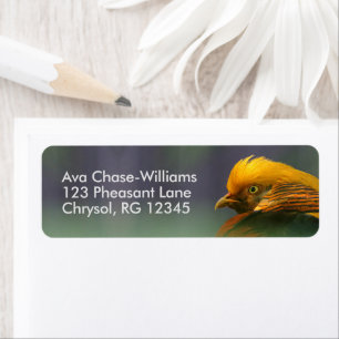 Emerging from the Green: Golden Pheasant