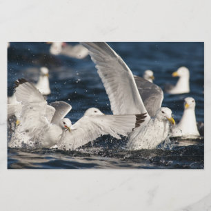 Emerging Gulls Stationery