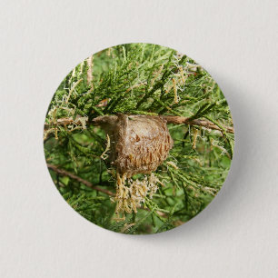 Emerging Mantis ~ button