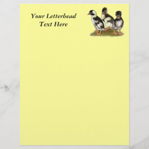 Emery Penciled Runner Ducklings