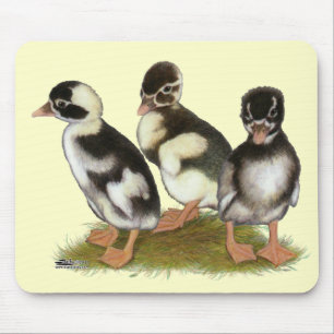 Emery Penciled Runner Ducklings Mouse Mat