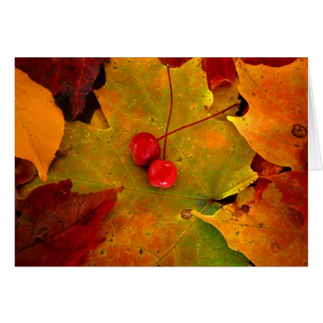 Emery's Porch II (Front Horizontal)