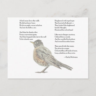 Emily Dickinson "In the Garden" Poem Postcard
