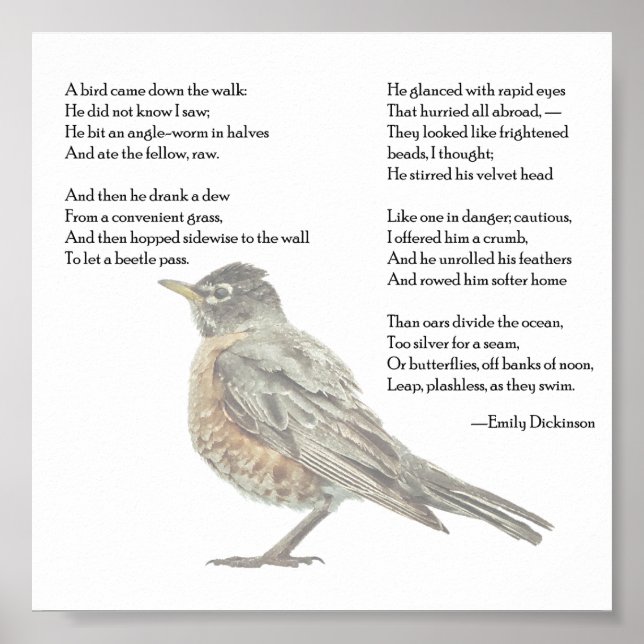 Emily Dickinson "In the Garden" Poem Poster (Front)
