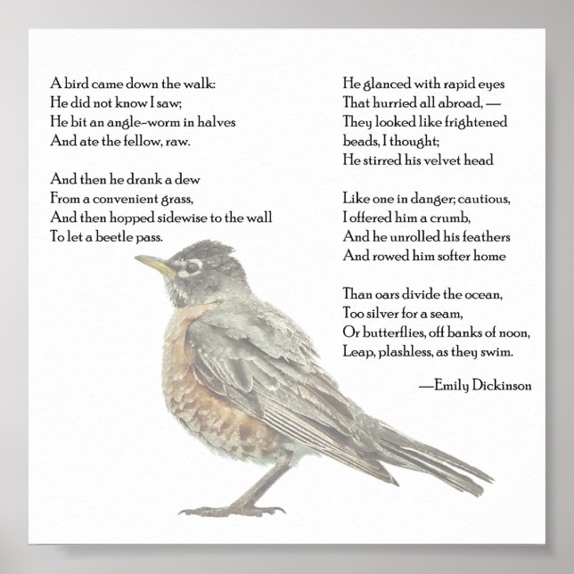 Emily Dickinson "In the Garden" Poem Poster (Front)