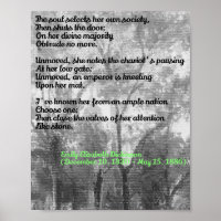 Emily Dickinson's Poem (The Soul..)