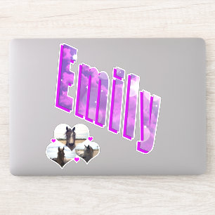 Emily Name With Horses,