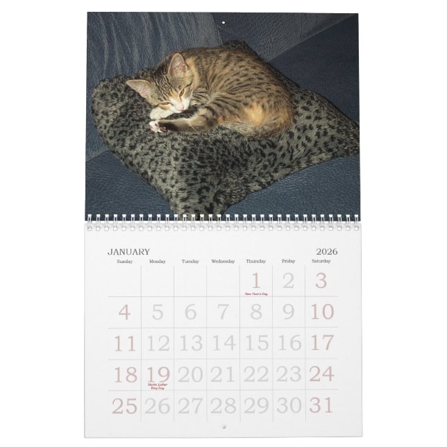 Emma Calendar (Jan 2026)