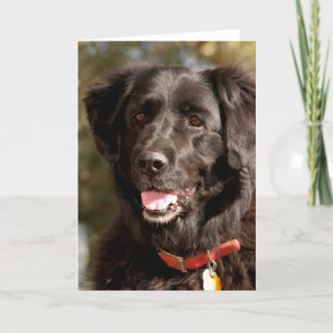 Emma Card