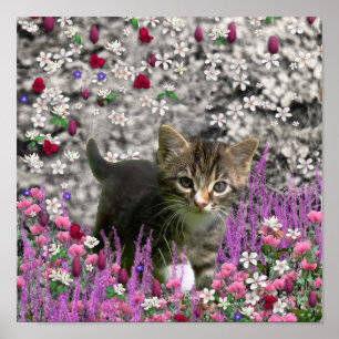 Emma in Flowers I – Little Grey Kitty Cat Poster