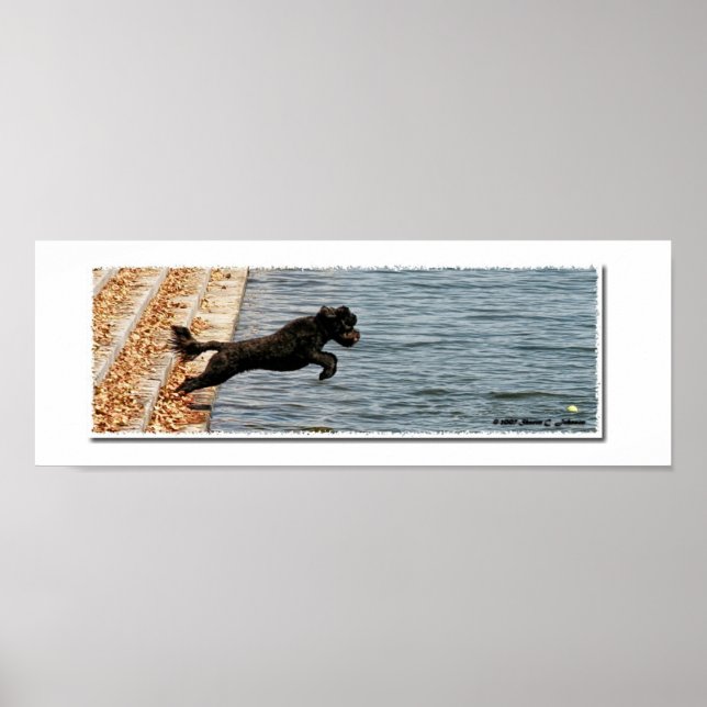 Emma, The Portuguese Water Dog Poster (Front)