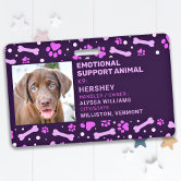 Emotional support best sale animal identification