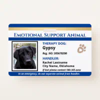 Emotional support animal identification 2025