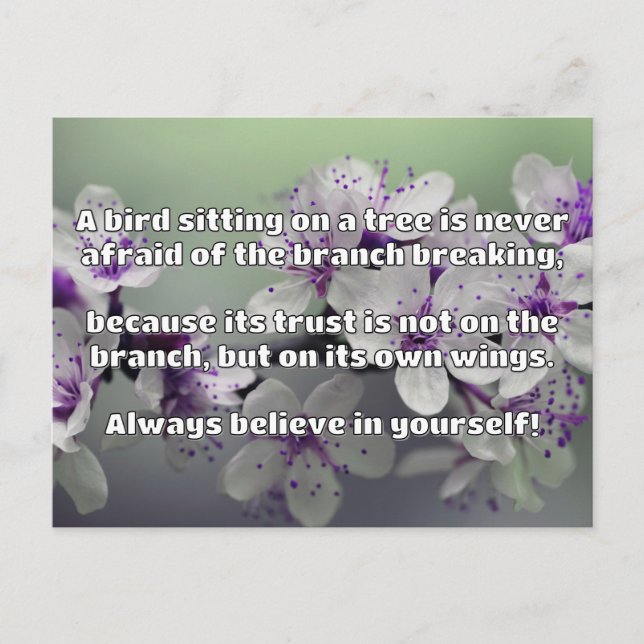 Empath Belief Positive Encouragement Quote  Postcard (Front)