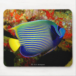 “Emperor Angelfish”のマウスパッド,No.01 Mouse Mat