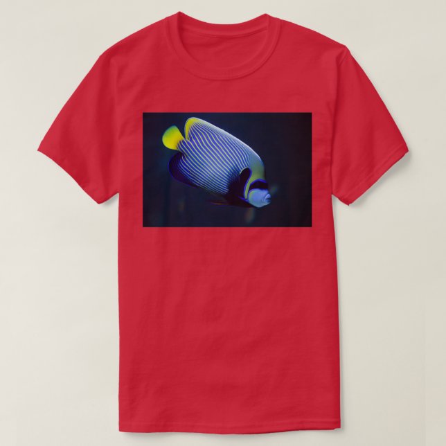 Emperor angelfish T-Shirt (Design Front)