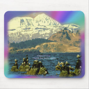 Emperor Geese on Chiniak Bay near Chiniak, Alaska Mouse Mat