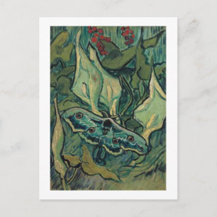 Emperor Moth, Vincent van Gogh Postcard