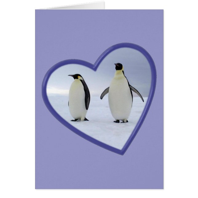 Emperor Penguin (Front)