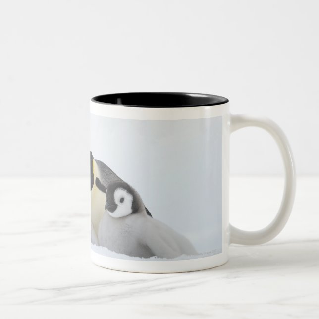 Emperor Penguin (Aptenodytes forsteri) 2 Two-Tone Coffee Mug (Right)