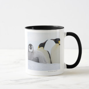 Emperor Penguin (Aptenodytes forsteri) Mug