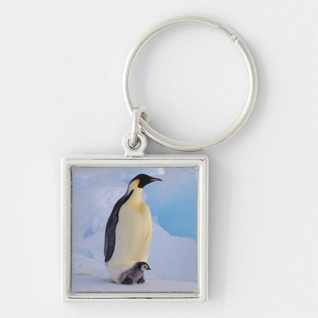Emperor Penguin | Aptenodytes Key Ring (Front)