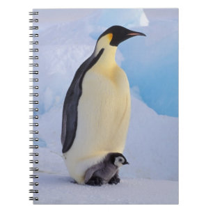 Emperor Penguin Aptenodytes Notebook