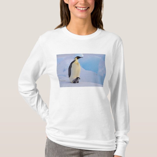 Emperor Penguin | Aptenodytes T-Shirt (Front)