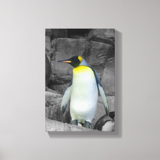 Emperor Penguin Canvas Print (Front)