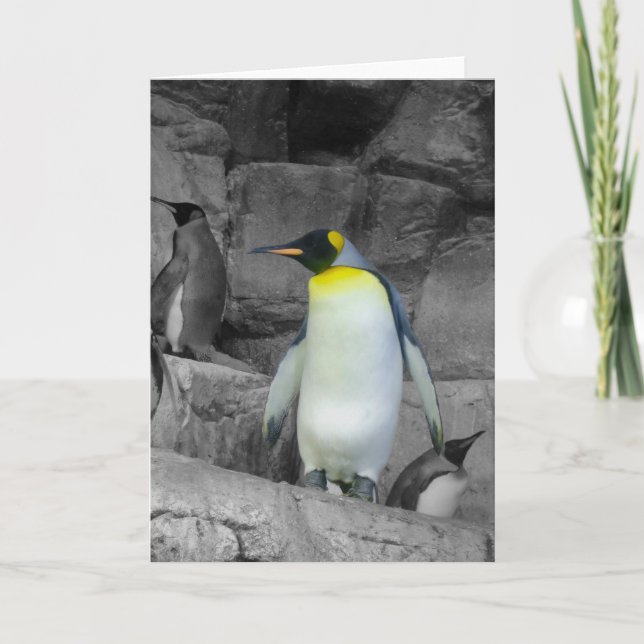 Emperor Penguin Card (Front)