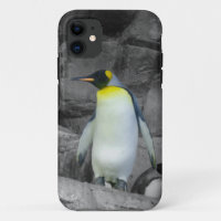 Emperor Penguin