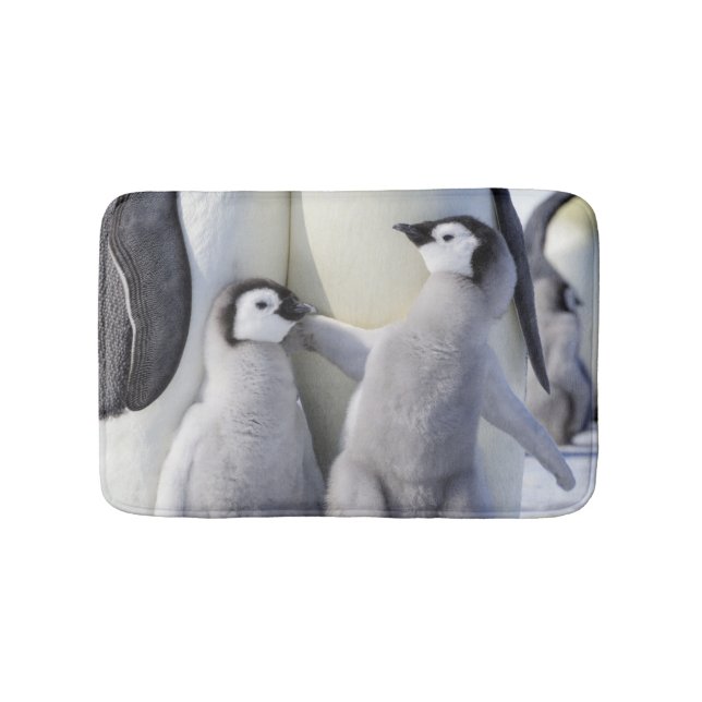 Emperor Penguin Chick Bath Mat (Front)
