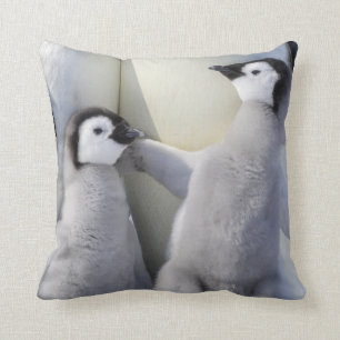Emperor Penguin Chick Cushion