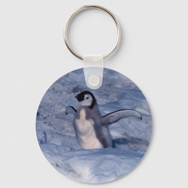 Emperor Penguin Chick Key Ring (Front)