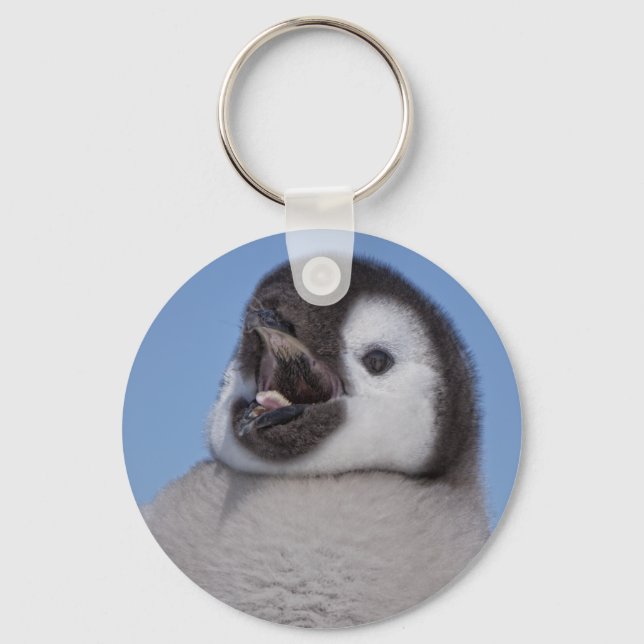 Emperor Penguin Chick Key Ring (Front)