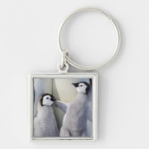 Emperor Penguin Chick Key Ring