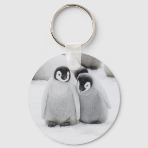 Emperor Penguin Chicks on Ice in Antarctica Key Ring