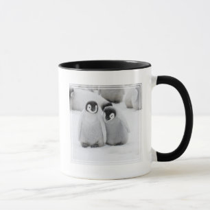 Emperor Penguin Chicks on Ice in Antarctica Mug