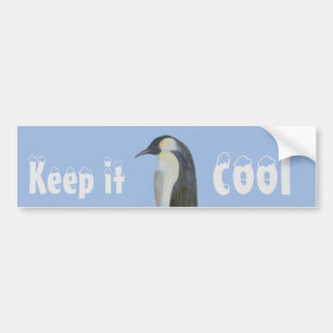 Emperor Penguin Climate Change Bumper Sticker