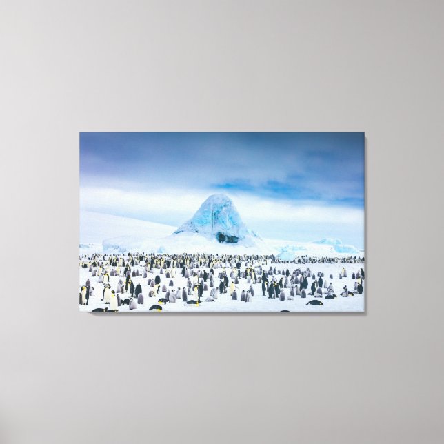 Emperor Penguin Colony Canvas Print (Front)