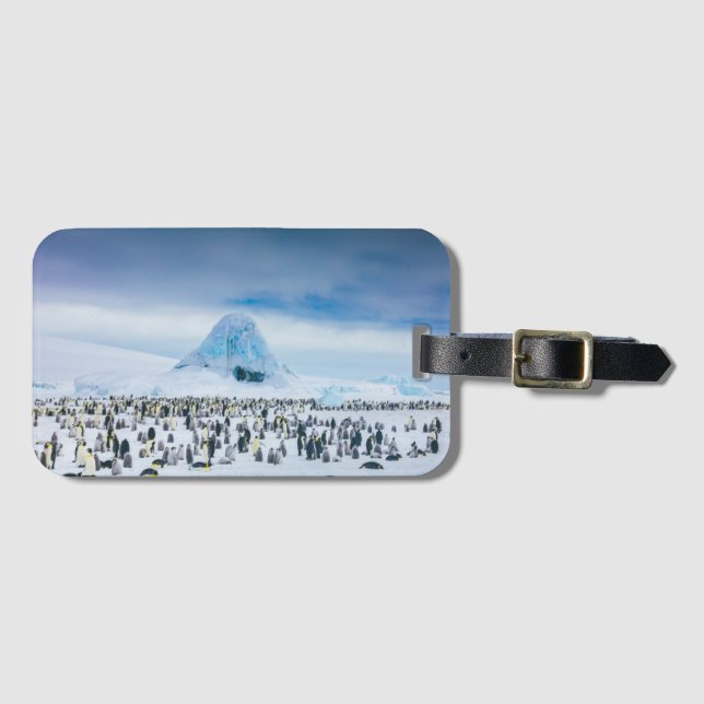 Emperor Penguin Colony Luggage Tag (Front Horizontal)