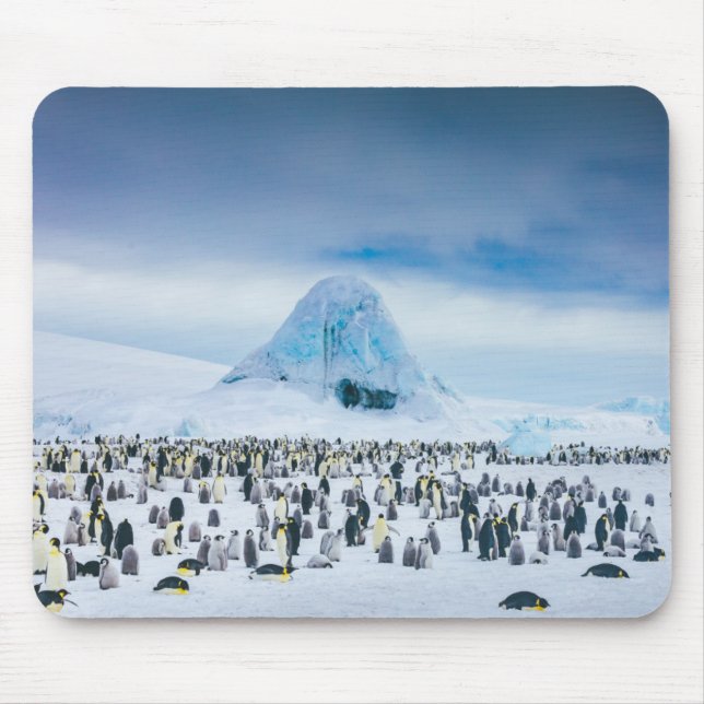 Emperor Penguin Colony Mouse Mat (Front)