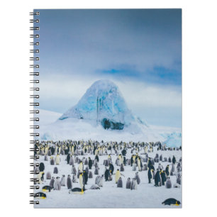 Emperor Penguin Colony Notebook